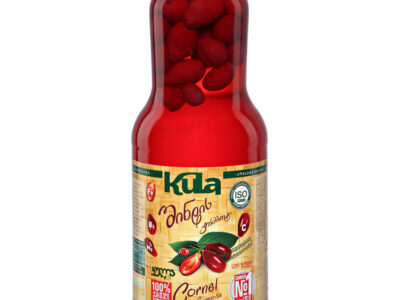 Komp&oacute;t Drieň